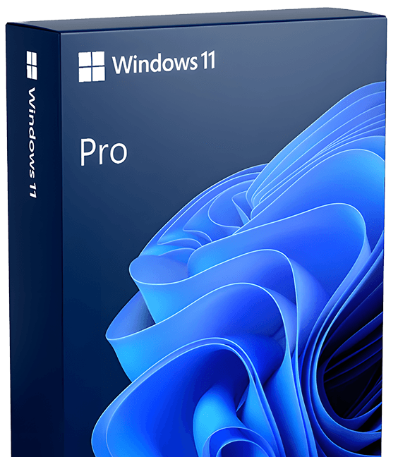Windows 11 Pro